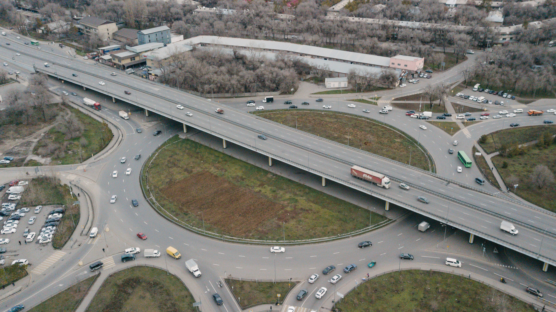 Гипертрофированы в размерах