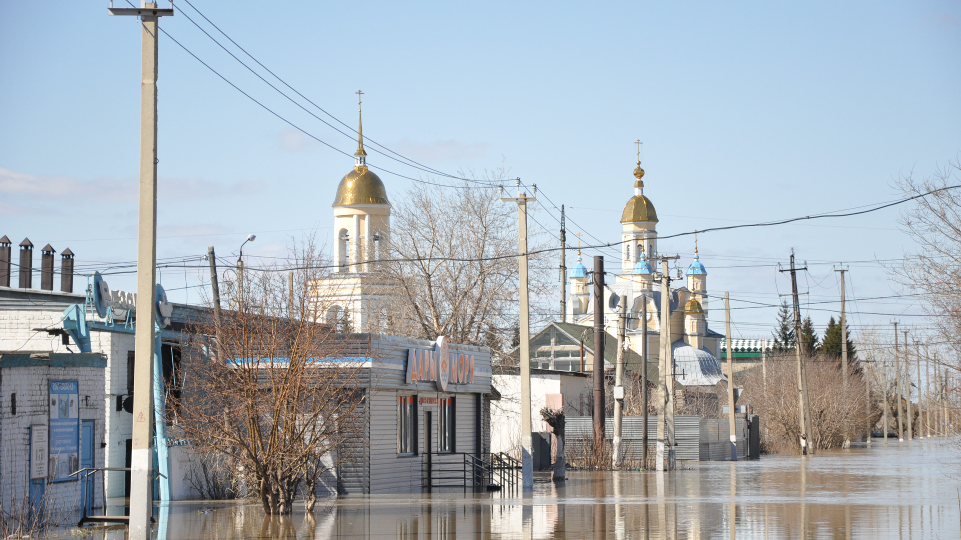 Храм в воде, собаки ждут хозяев. Что происходит в Петропавловске