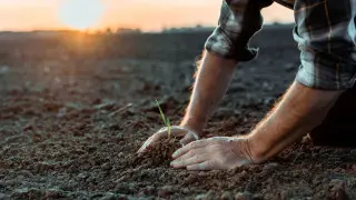 Паводки и саранча. Эксперт о проблемах казахстанских фермеров