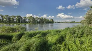 Сколько водохранилищ Казахстана в частных руках и кому они принадлежат