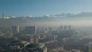 “Всех интересует беременность какой-то блогерши и не волнует вопрос жизни“. Ученый о смоге