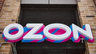 Как создать успешный бизнес на Ozon: 7 перспективных категорий