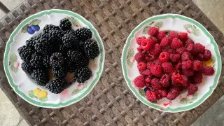 Органические продукты: правда от эксперта и потенциал Казахстана в их производстве