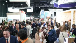 Осенний выставочный сезон: рост масштабов, новый павильон и ощутимый экономический эффект