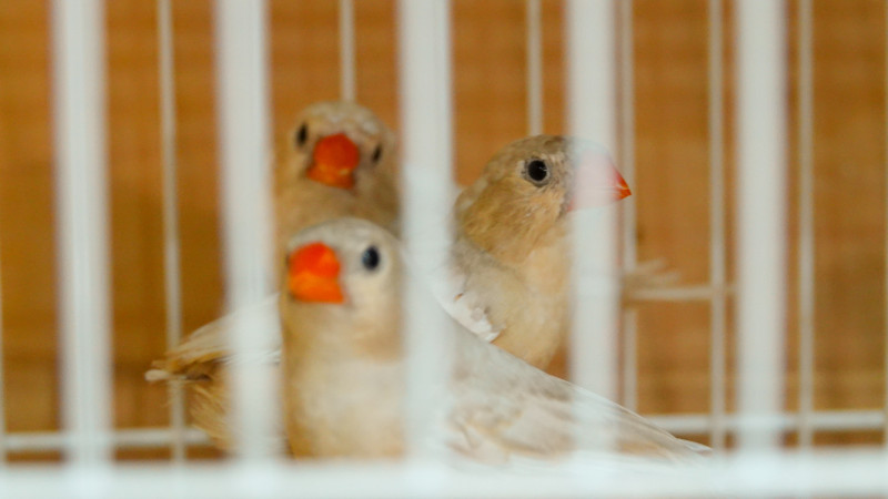 Фото ©️ Tengrinews.kz / Аружан Дарибай