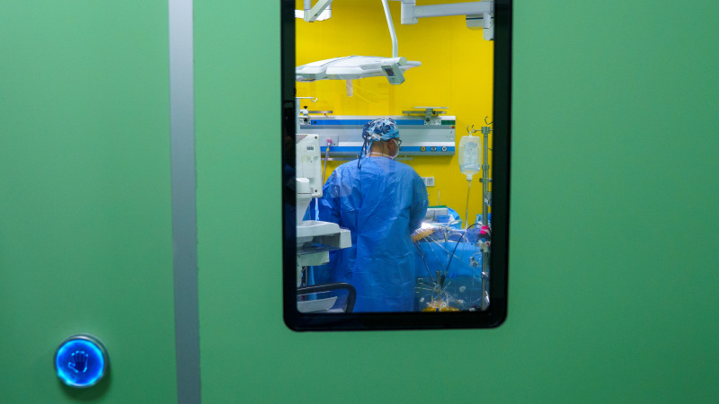 Фото ©️ Tengrinews.kz / Болат Айтмолда