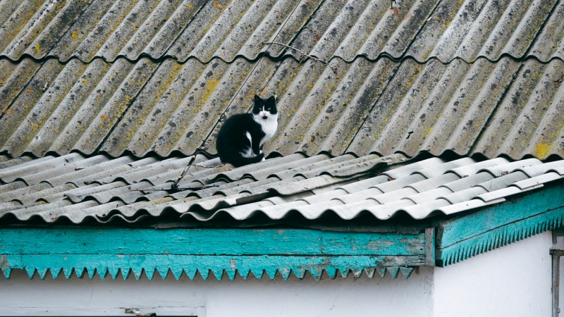 Фото: ©️ Tengrinews.kz / Алимжан Аманжол