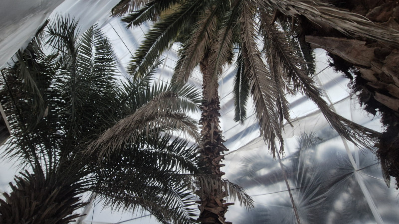 Фото: ©️ Tengrinews.kz / Светлана Антонова