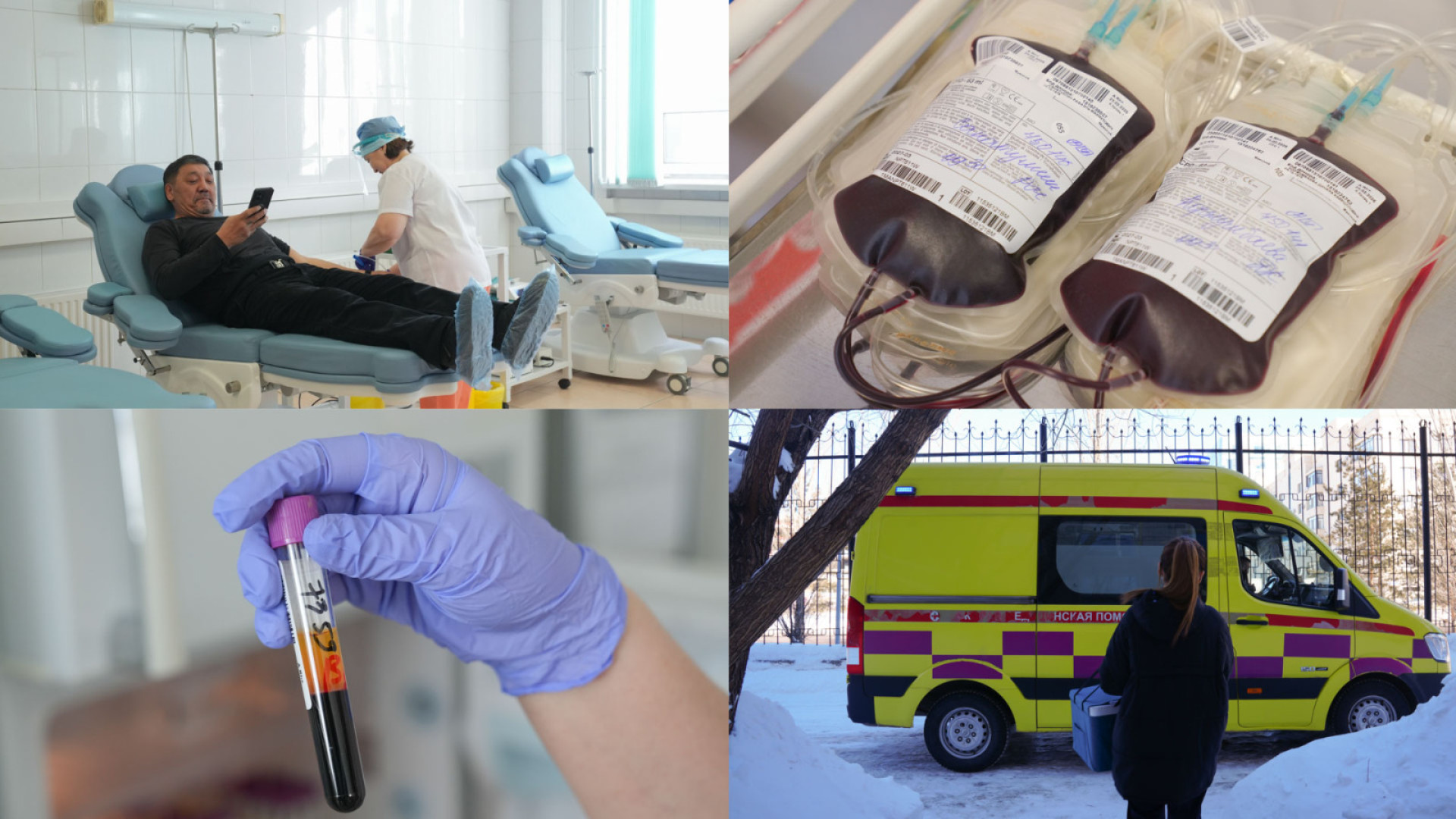 Какой путь проходит донорская кровь от донора до пациента.