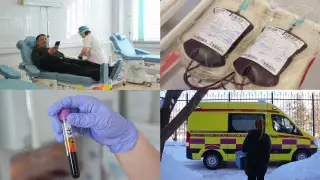 Как кровь “отдыхает“, меняет цвет и проходит карантин: путь от донора до пациента