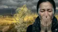 “А куда переезжать“, или Как аллергия в мире и Казахстане превратилась в новую эпидемию