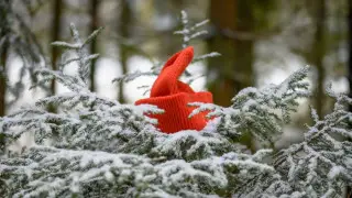 Суықта бас киімсіз жүру несімен қауіпті?