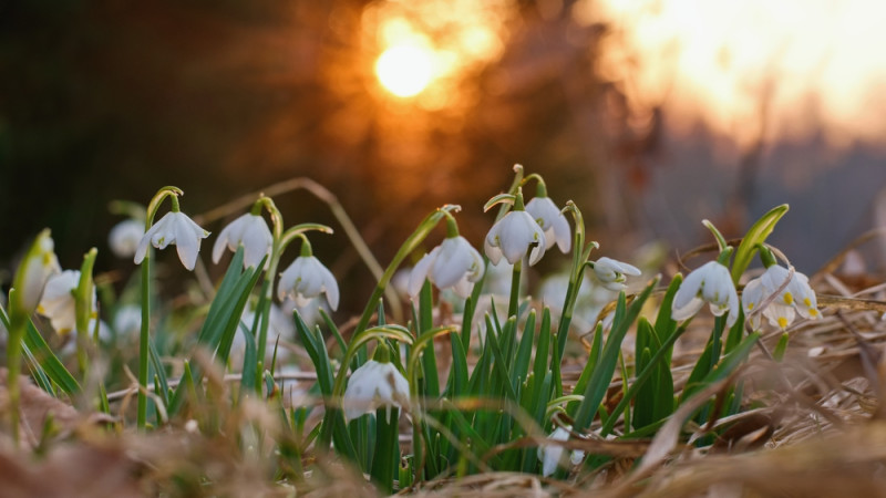 ©️ depositphotos.com