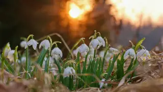 Ауа райы: Қазақстанда 81 жыл бұрынғы рекорд жаңарды