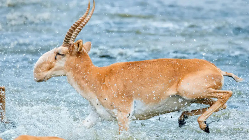 Фото:depositphotos.com