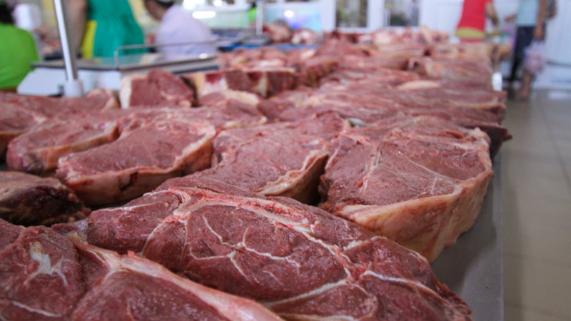 Фото: Tengrinews.kz/ Тұрар Қазанғапов