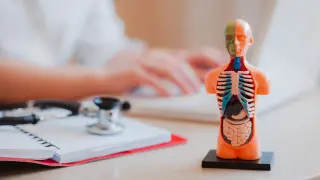 Орган донорлығы: Қазақстандағы жағдай қандай?