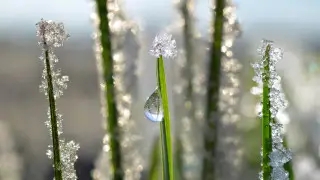 Қазақстанда 51 жыл бұрын тіркелген температура рекорды жаңарды