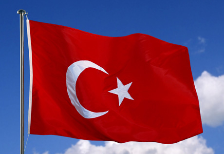 Турция выдвинула своего кандидата на пост генсека ОБСЕ