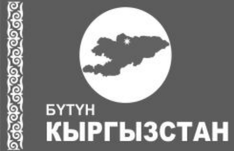 Партия "Бутун Кыргызстан" пригрозила акциями протеста