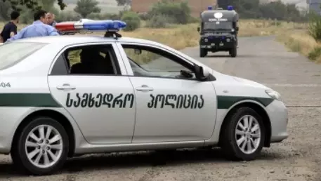 В Грузии задержали мятежников