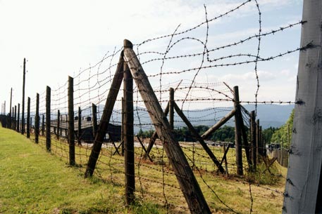 Границу Молдавии и Румынии освободят от колючей проволоки