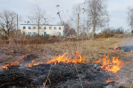 Жертвами пожара в Амурской области стали пять человек