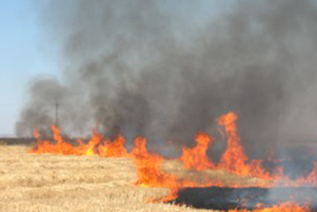 Пожар около нефтепровода в Актюбинской области потушили