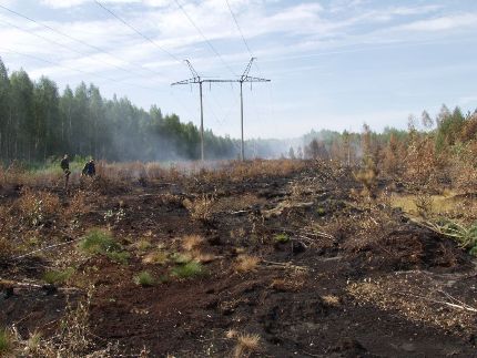 В Иркутской области 18 населенных пунктов остались без электричества