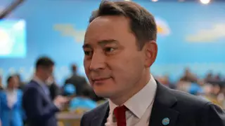 Комары пьют одинаково кровь у акимов, министров и жителей города - замглавы Павлодарской области