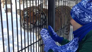 Все гораздо хуже, чем я думал - новый директор зоопарка Алматы