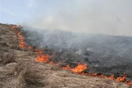 Площадь природных пожаров в РК составила 91 тысячу гектаров