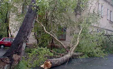 В Алматы на завтра объявили штормовое предупреждение