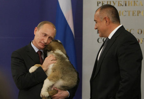 Премьер-министр Болгарии подарил Путину щенка. ФОТО