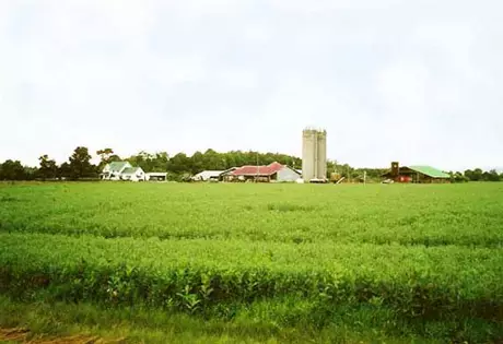 Казахстанские фермеры выступили против закупочных цен государства