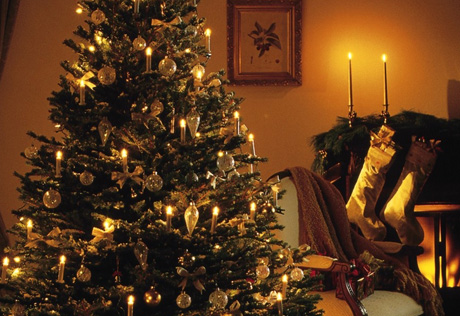 Житель Британии женится на рождественской елке