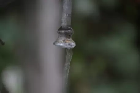 Масимов направил дополнительные средства на проект питьевой воды 