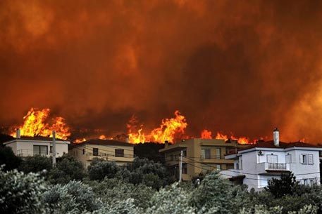 Прокуратура Греции обвинила фермера в поджоге