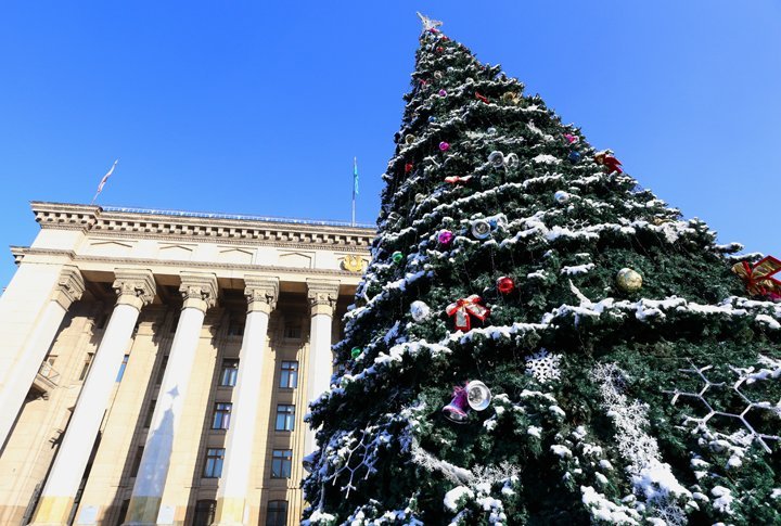 Новогодняя елка на старой площади. ©Ярослав Радловский