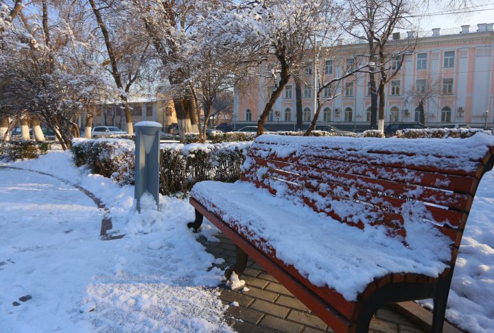 В парке у старой площади. ©Ярослав Радловский