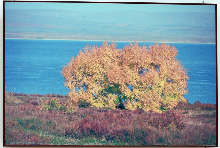 Восточный регион. Восточно-Казахстанская область. Озеро Зайсан. "Золотая осень".