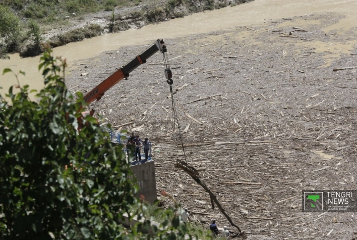 Водой принесло множество сломанных деревьев. ©Дмитрий Хегай