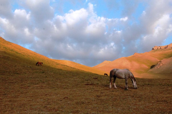 Виды Кыргызстана.
©Владимир Прокопенко