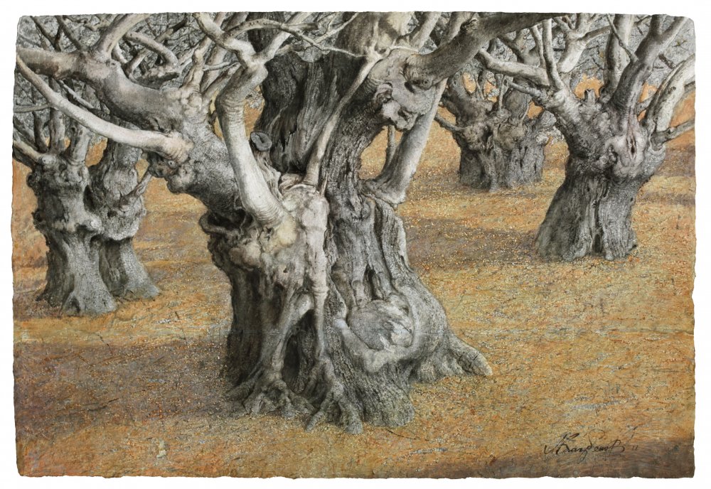 Казбеков очень часто в своих работах изображает деревья. По его словам, они символизируют людей. "Я просто характеры, образы, поведение, философию людей стараюсь перенести через деревья. Это некий символ для меня", - отметил он. На фото картина "Свидетели".