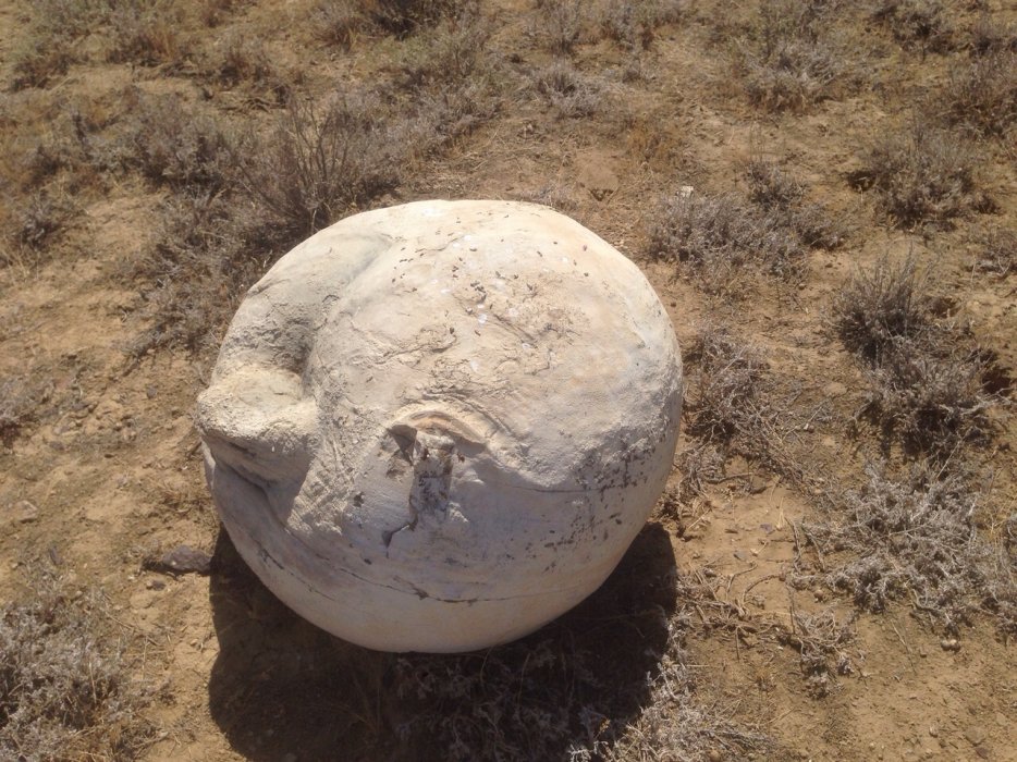 В Прикаспийском регионе в степи можно найти несколько странных предметов. Это круглые камни, над происхождением которых ученые долго ломали головы. Официальное название - шаровидные конкреции.