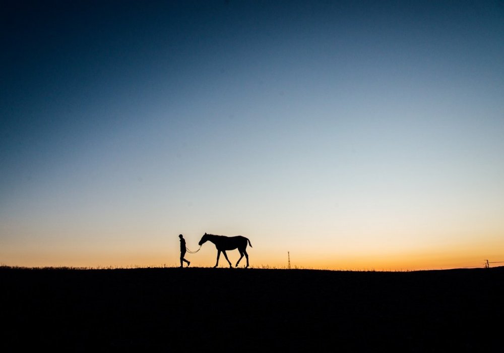 Это тоже казахстанская степь. Серия фотографий про объездчика верховых лошадей была сделана поздним вечером. Фото Турар Казангапов ©