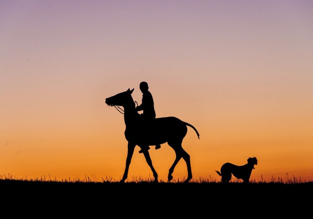 Всадника с лошадью сопровождает преданный пес. Фото Турар Казангапов ©