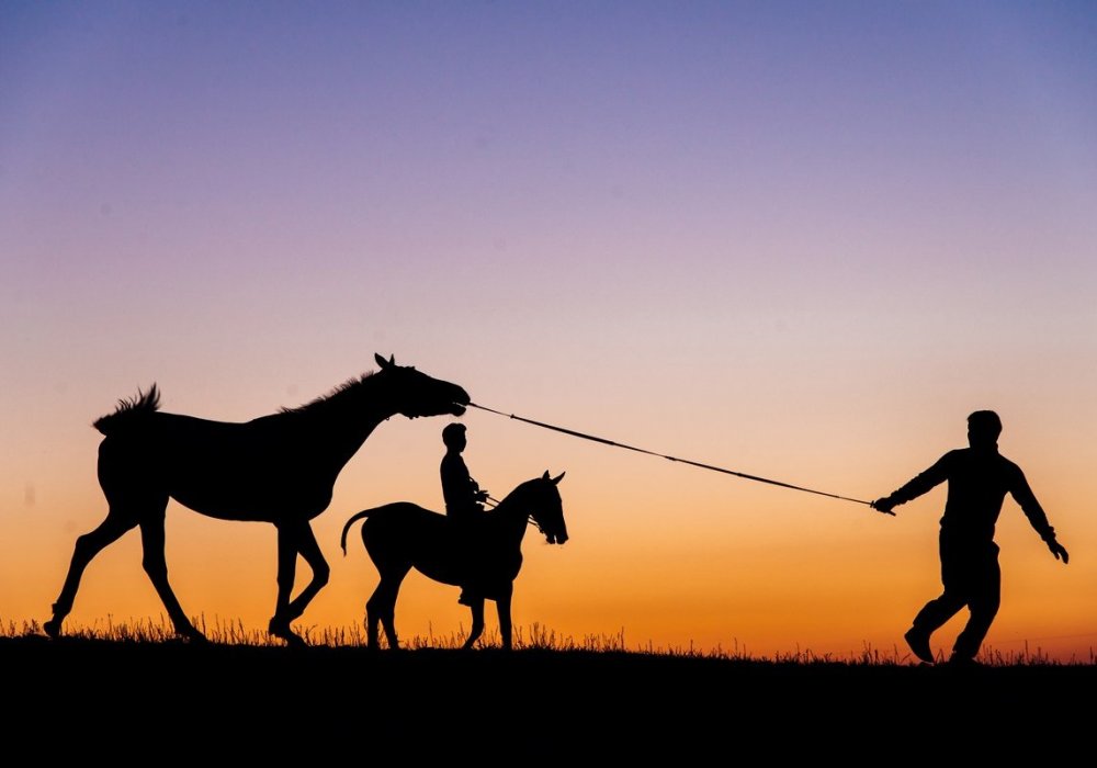 Сначала лошадь не слушалась объездчика... Фото Турар Казангапов ©