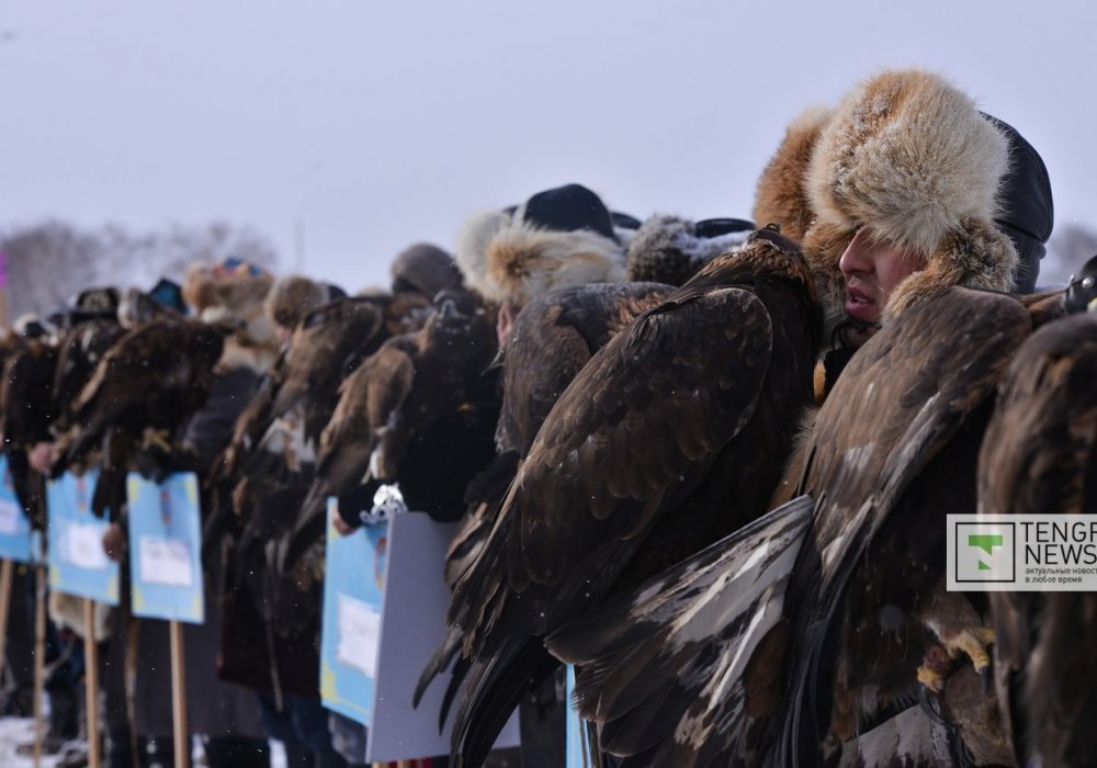 На турнир беркутчи, который проходил рядом с поселком Коянды, съехались ловчие почти со всего Казахстана. Фото Турар Казангапов ©