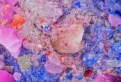 Палитра из снега и льда. Как китайские скульпторы создают сказку в Астане